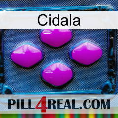 Cidala 04